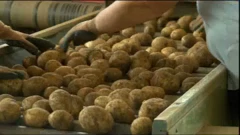Vlajčić posjetio Agrovelebit, Foto: HTV/HRT
