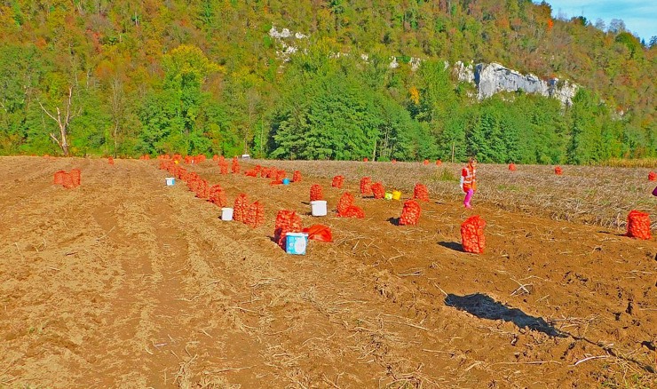 Prva godina mandata Lukanovića na čelu PGŽ: Nije sve na grad