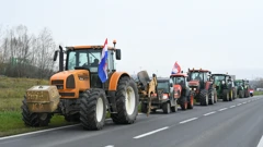 Seljaci ne odustaju od prosvjeda, svinjokolja ključni kamen-spoticanja