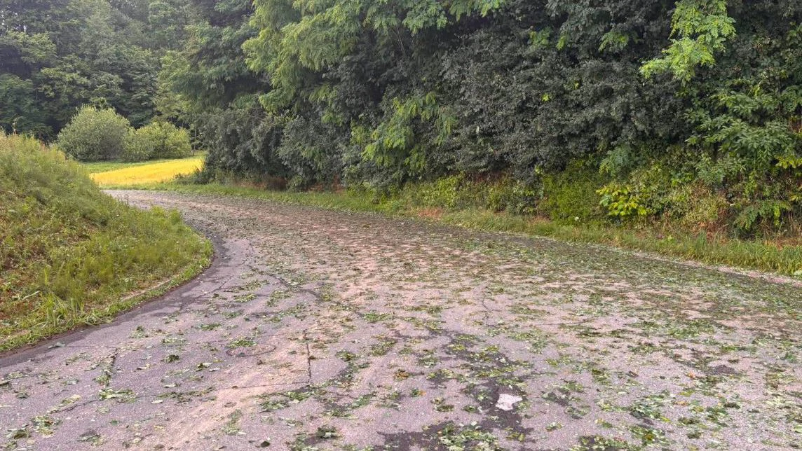Posljedice sinoćnjeg nevremena u Međimurju , Foto: Ivica Grudiček /HTV