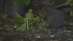Nevrijeme uništilo staklenike u općini Veliki Bukovec, Foto: HTV/HRT