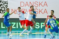 Hrvatska - Slovenija , Foto: Goran Sebelic /CROPIX
