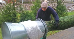 Odabrano treba zapakirati, Foto: Nenad Lučić/Radio Rijeka