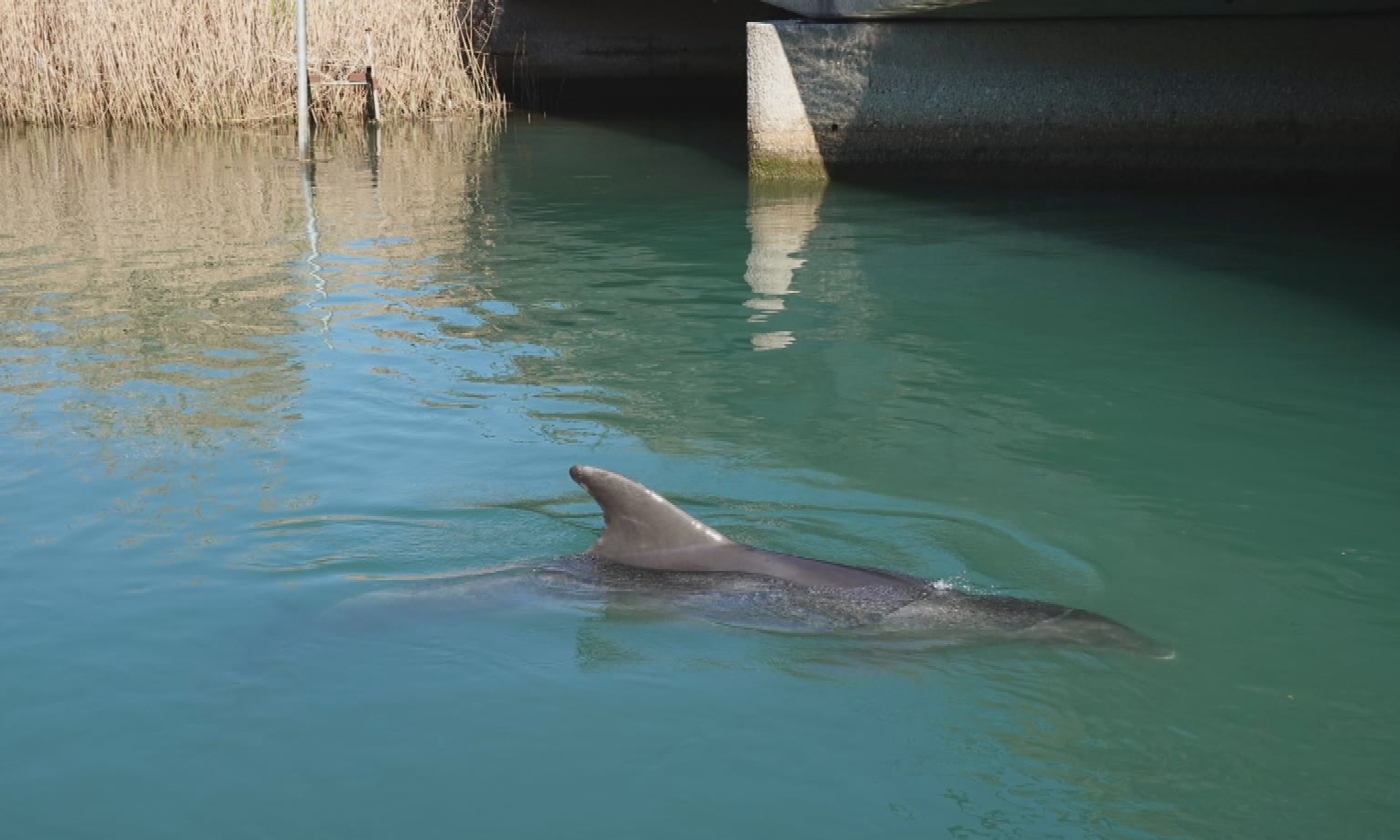 st tvd2 dupin u jadru forspan isilovic frame 671 20260218180555