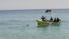 Utorak, 10. ožujka na Drugom, Foto: Plovopis - južni pučinski otoci/dokumentarna serija