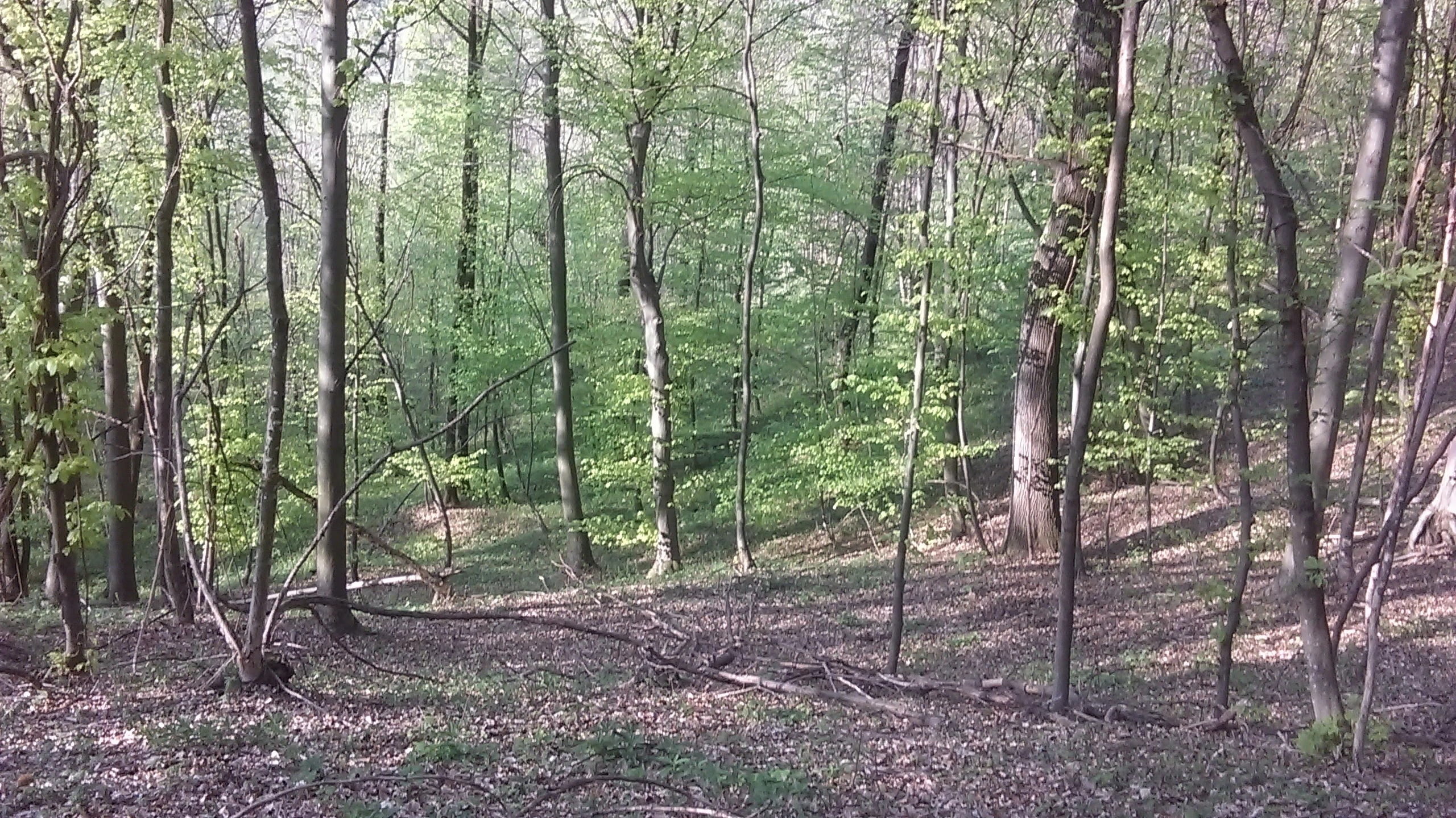 Meditacijom do Božića - 02.12.2025.