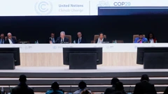 COP29