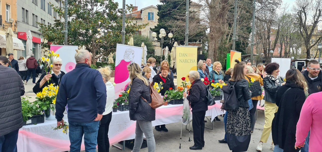 Dan narcisa u Puli - 25.3.2023.