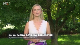 Ivana Čavlina Tomašević