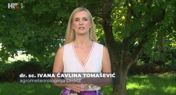 Ivana Čavlina Tomašević