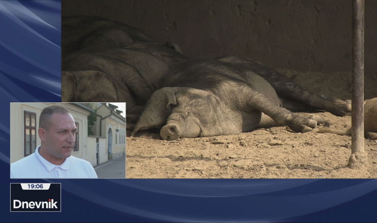 Vlajčić: Ilegalna premještanja najveća su prijetnja širenju ASK-a
