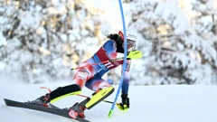 Zrinka Ljutić