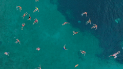 Utorak, 28. siječnja na Prvom, Foto: Forska liga /dokumentarna serija