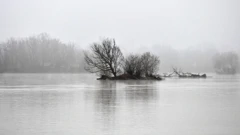 Drava kod Varaždina