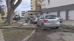 Na osječkom području olujni vjetar prouzročio štete, Foto: HTV/HRT