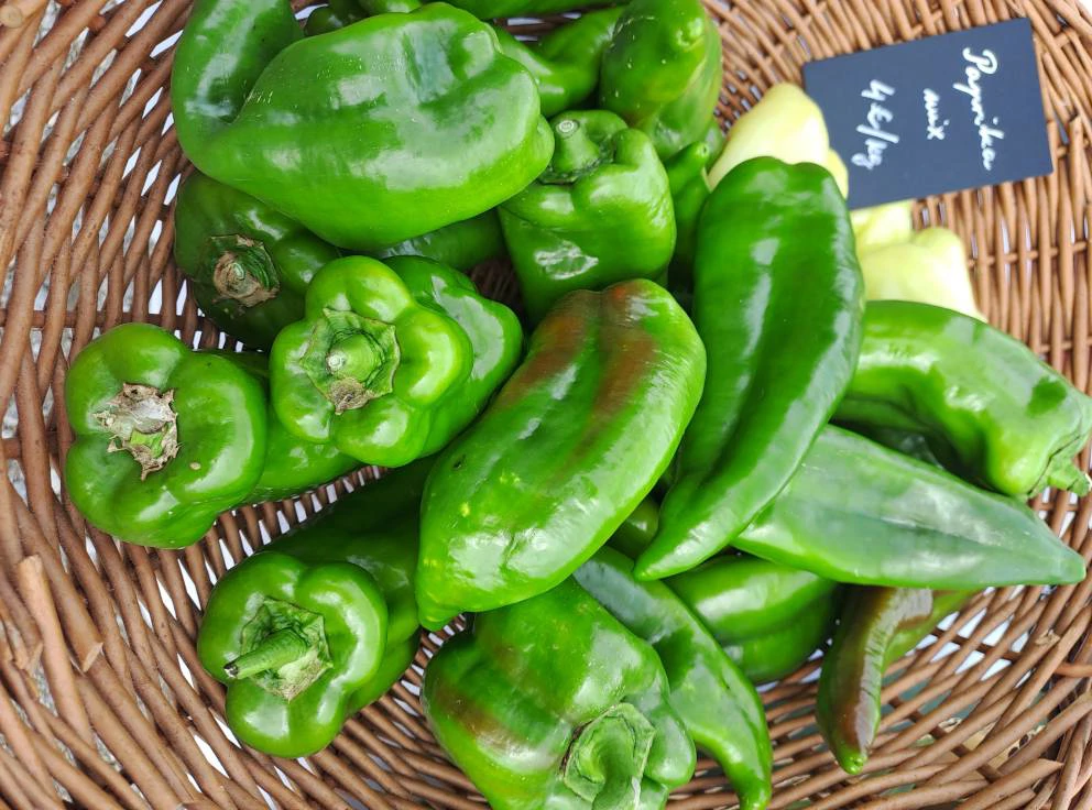 paprika, Foto: -/Zeleni Kastav