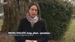 Petra Sviličić