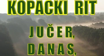 Simpozij