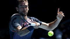 Marin Čilić