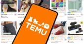 Otvorena istraga o Temuu