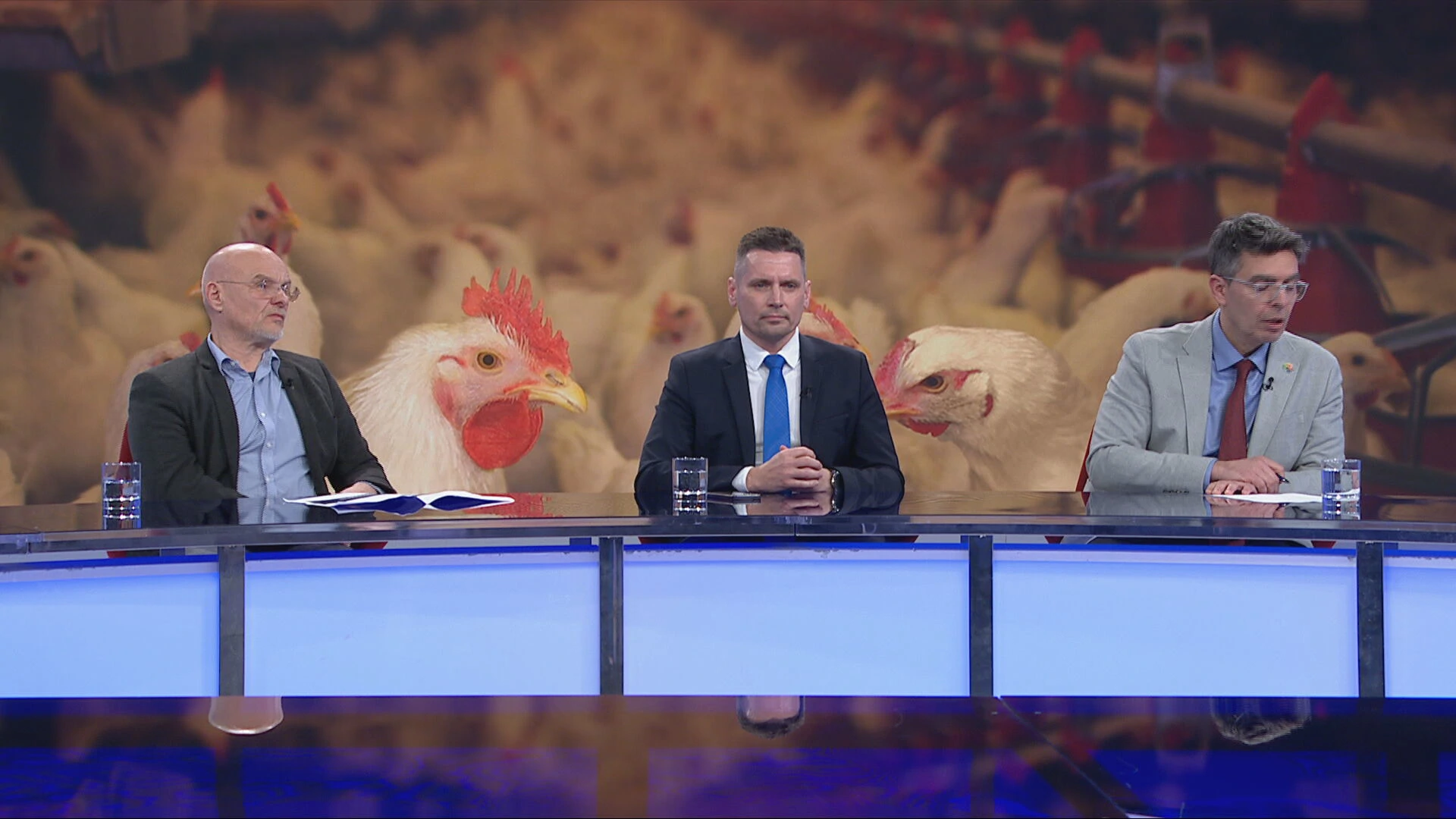 Građani protiv megafarme pilića, Orlić: Projekt nema podršku Grada Kép