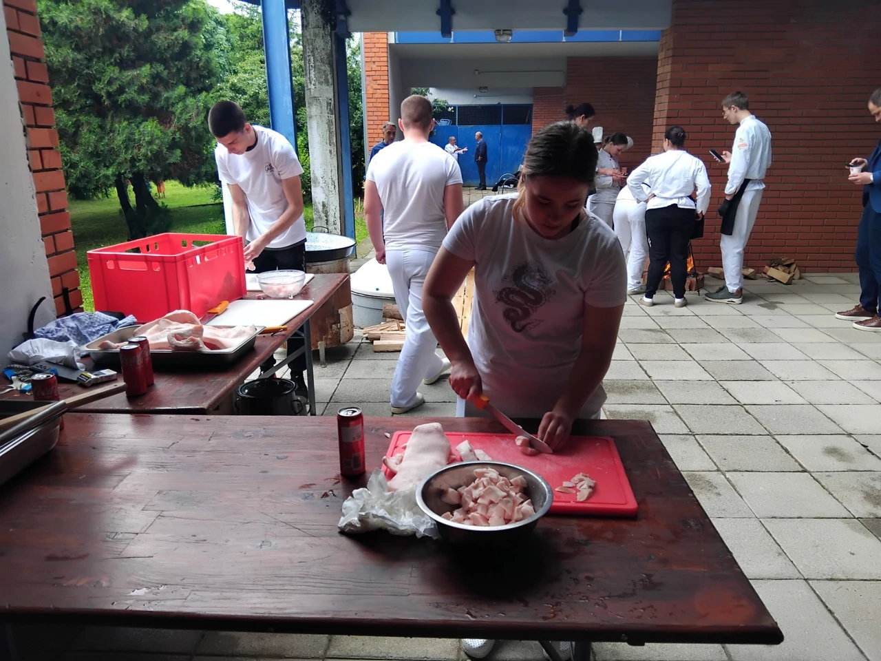 Gastro plamen, Foto: Marija Vukasović Petrinović/HRT