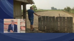  Mladen Pavić, državni tajnik u Ministarstvu poljoprivrede