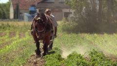 Petak, 3. srpnja na Četvrtom, Foto: Čovjek i konj/dokumentarni film 