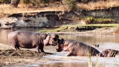 Ponedjelajk, 27. travnja na Drugom , Foto:  Katavi/dokumentarna serije 