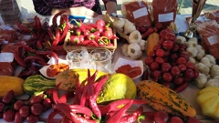 Festival paprike u Lugu