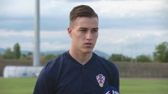 Luka Sučić