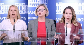 Ikić Baniček, Benčić i Selak Raspudić