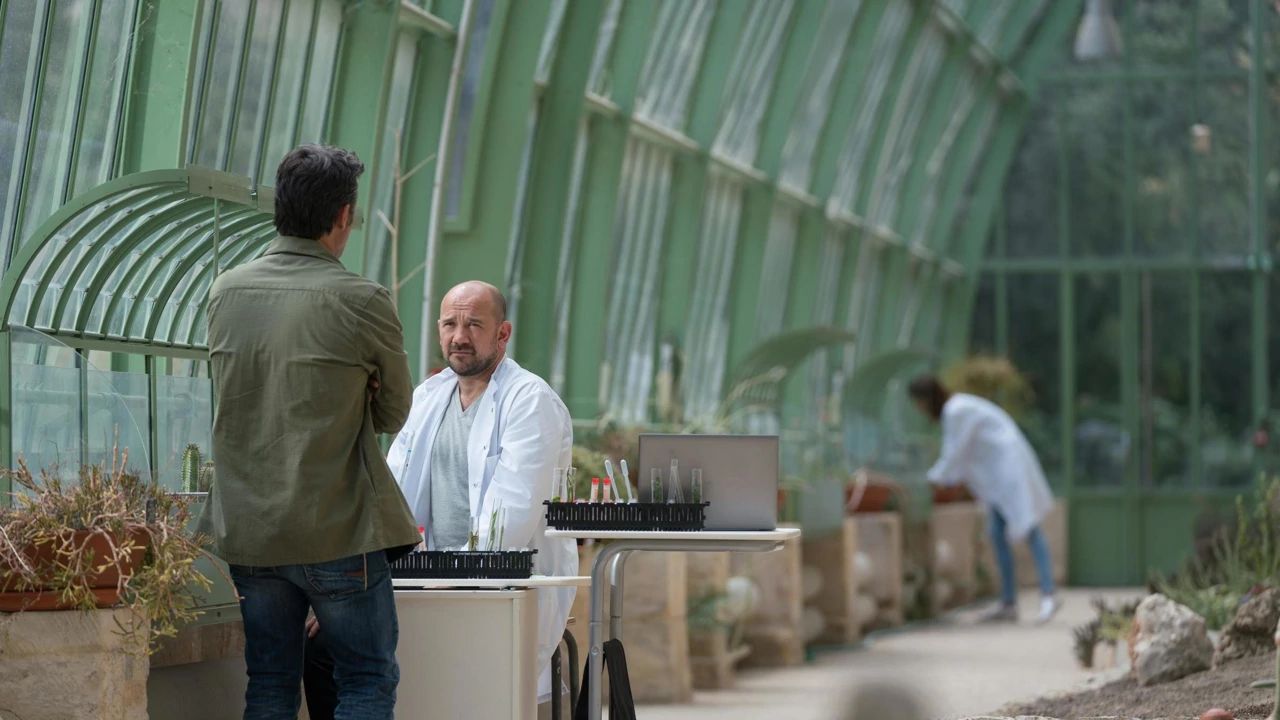 Četvrtak, 28. kolovoza na Drugom 