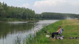 Pecanje je ljubav