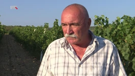 Božo Bačić