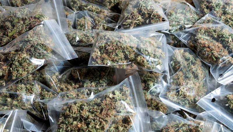 Kod 42-godišnjaka u Vulariji pronađeno više od 6,5 kg marihuane i oružje