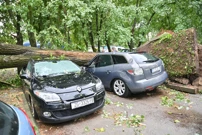Nevrijeme u Zagrebu (Zapruđe), Foto: Damir Krajac/CROPIX