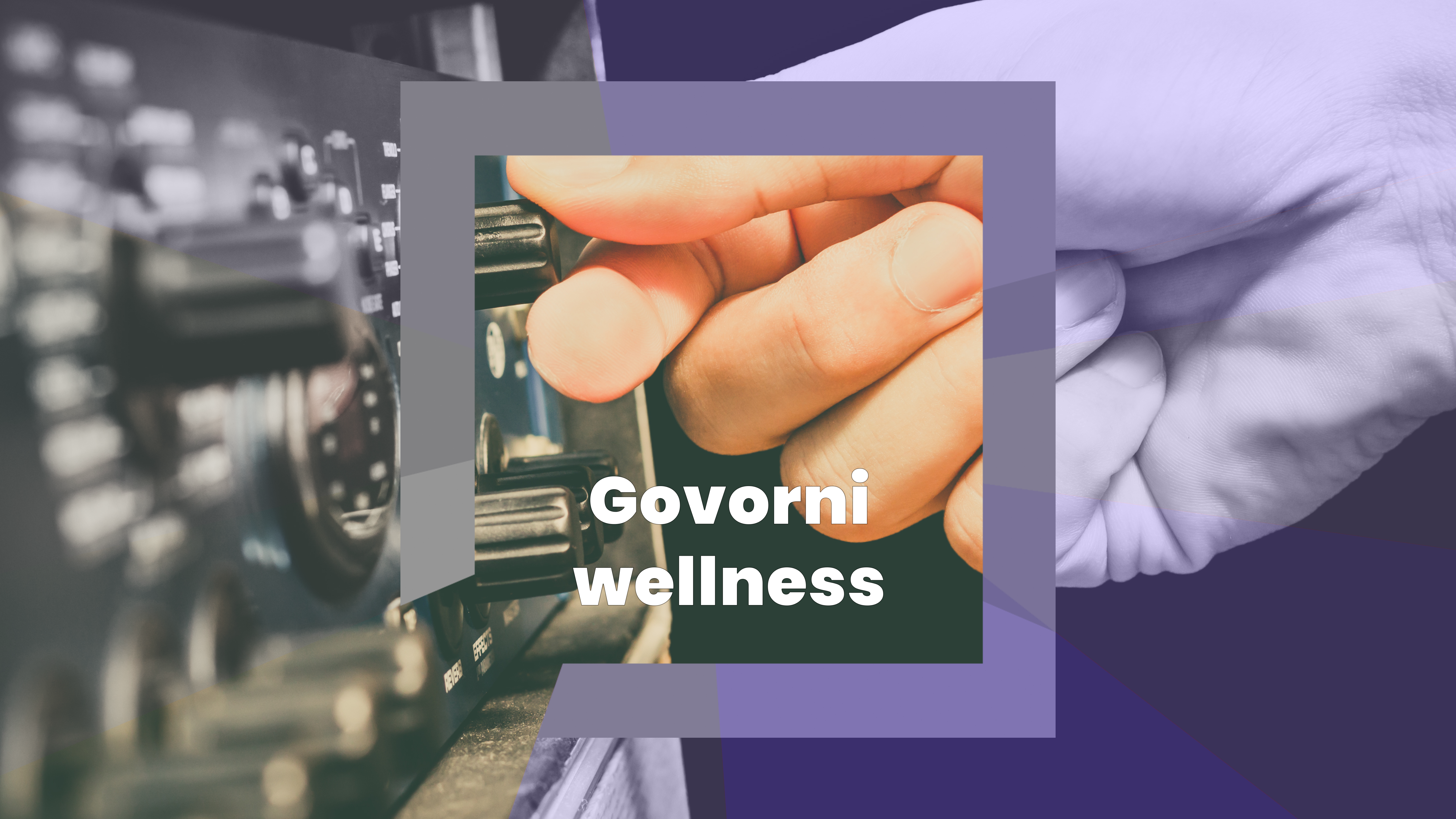 Govorni wellness