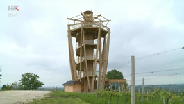 Mađerkin breg 