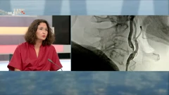 Prof. dr. sc. Marina Roje - Bedeković
