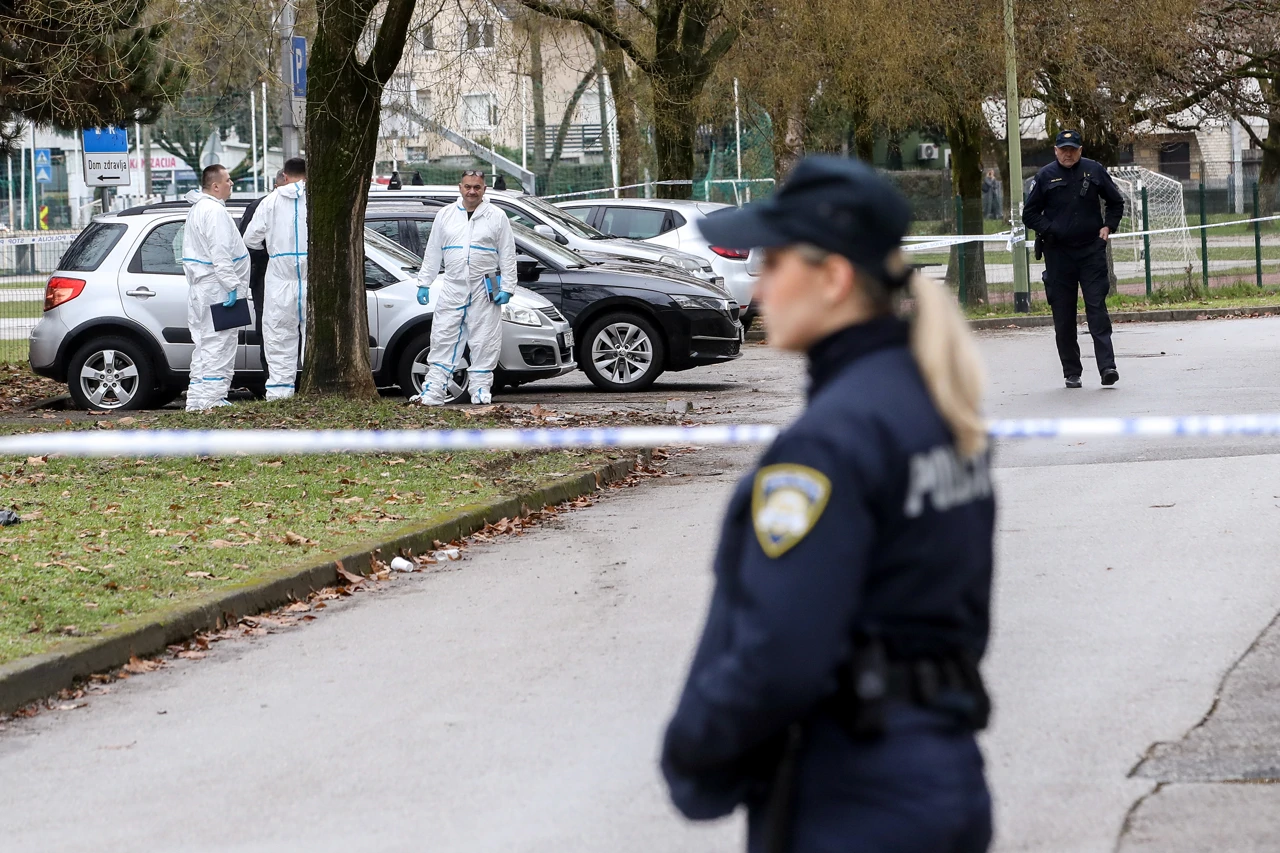 Horor u Osnovnoj školi Prečko, Foto: Zeljko Lukunic /Pixsell