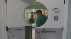 Badnjak u bolnicama