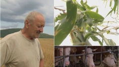 Štete na poljoprivrednim imanjima u Ličko-senjskoj županiji 