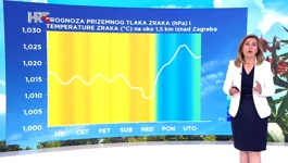 DUnja Plačko-Vršnak
