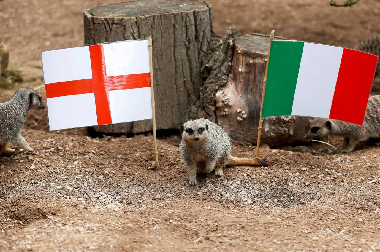 Merkati u londonskom Zoo vrtu spremni za finale, Foto: Peter Nichols/REUTERS