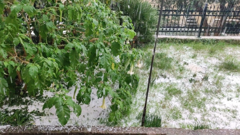 Jaka tuča u Dubrovniku , Foto: Čitateljica / HTV/HRT