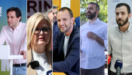 Nebojša Zelič, Iva Rinčić, Šime Erlić, Davor Matijević, Domagoj Bilić