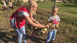 Vrtićarci iz Varaždinskih Toplica uzgojili suncokrete