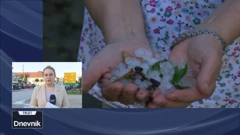 Nevrijeme