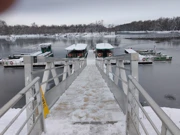 Kopački rit zimi - Sakadaš, Foto: Neven Knežević/HRT Radio Osijek